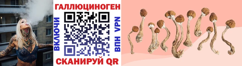 kraken tor  Карачаевск  Псилоцибиновые грибы ЛСД 