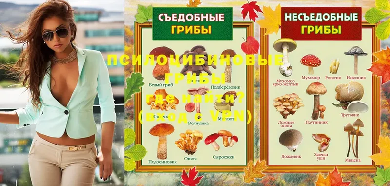 Галлюциногенные грибы MAGIC MUSHROOMS  гидра ONION  Карачаевск 